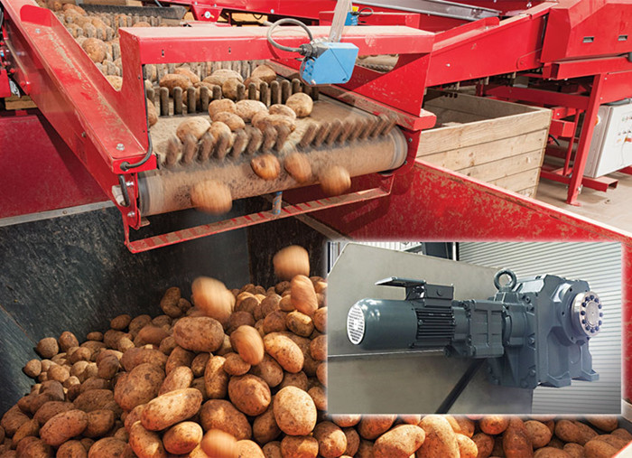 1557733471201753.jpg 0 (2).jpg